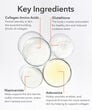 Display Product Shot: BioRejuvenation&trade; Serum Collagen Amino Acids + G.N.A., Image 10 of 14