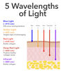 Display Product Shot: FaceWare Pro 3-Minute LED Device, Image 7 of 14