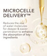Display Product Shot: Fill + Repair Serum with Hyaluronic Acid, Image 4 of 8