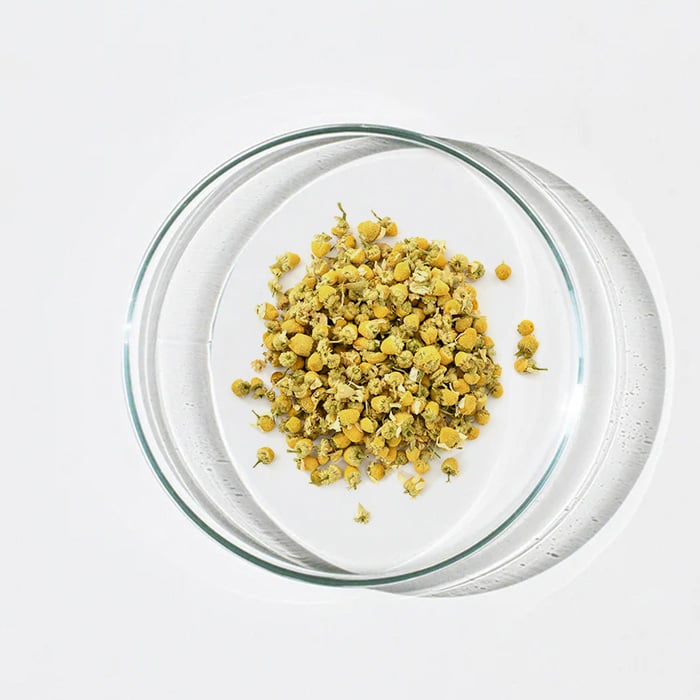 Chamomile