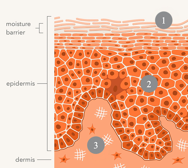Alpha Beta® Universal Daily Peel | Dr Dennis Gross