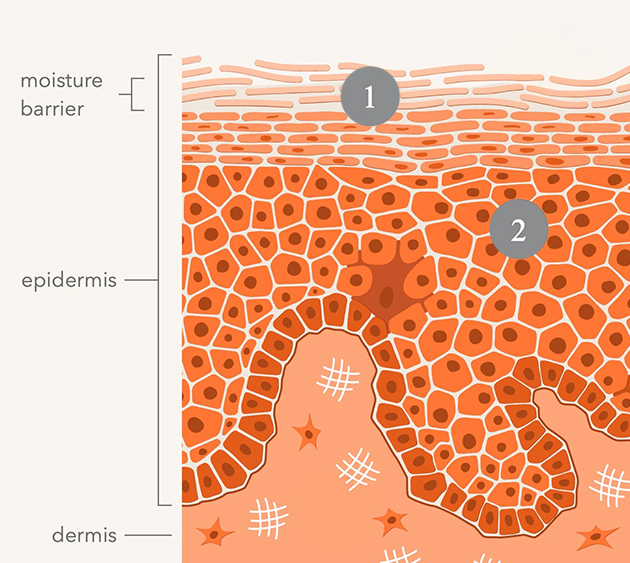 Hyaluronic Marine™ Cleansing Balm | Dr. Dennis Gross