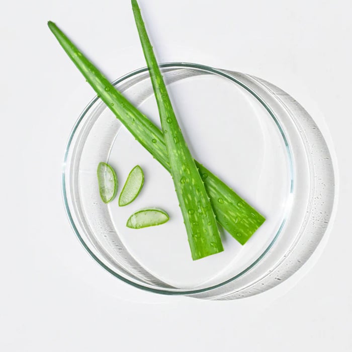 Aloe