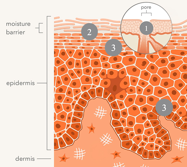 Alpha Beta® AHA/BHA Daily Cleansing Gel | Dr Dennis Gross