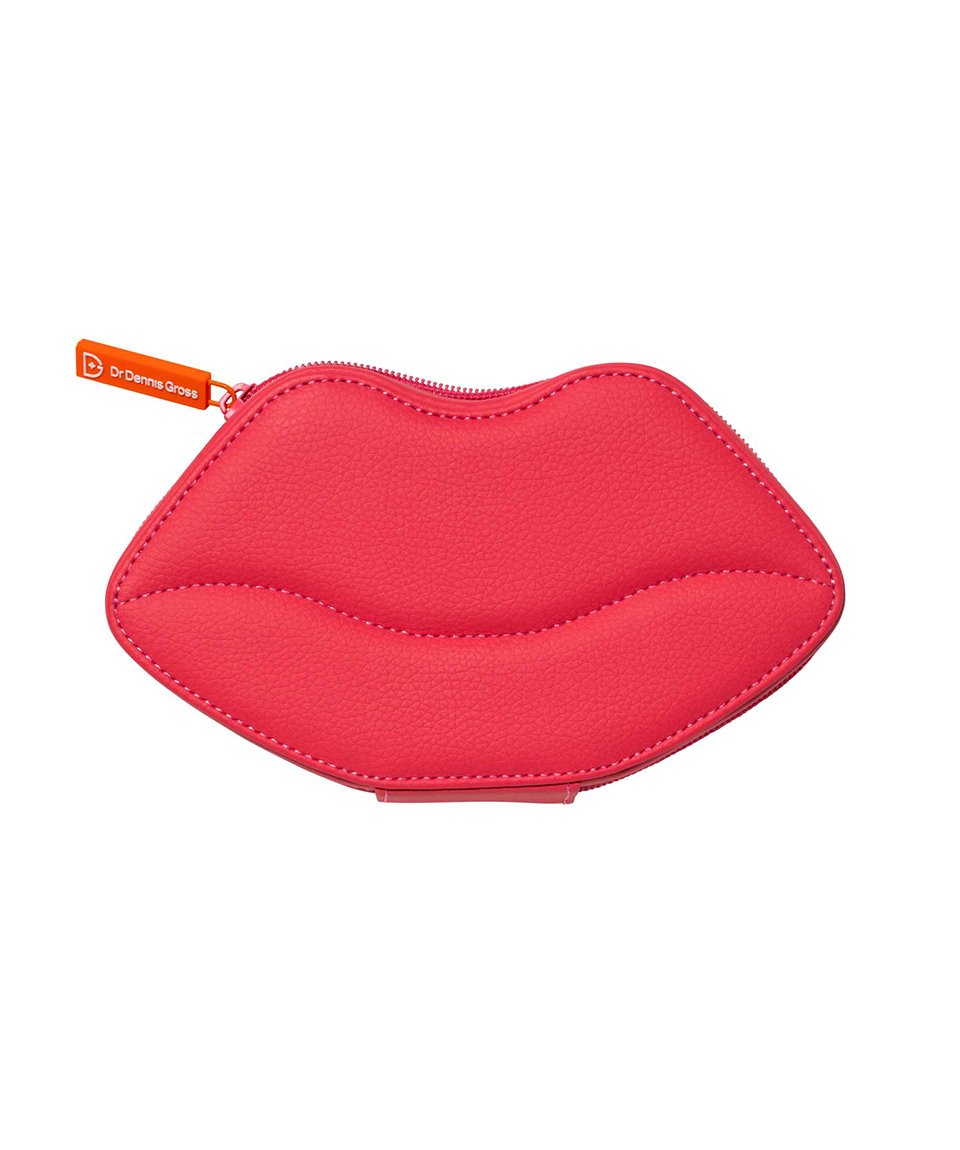 LipWare Pro Lip Case